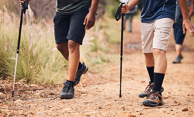 Image showing Hiking, fitness and feet of people walking on mountain for adventure, freedom and journey in nature. Travel, retirement and shoes of hikers with walk cane for exercise wellness, trekking and workout