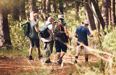 Image showing Hiking, trekking and group of friends in forest for adventure, freedom and cardio wellness on mountain trail. Travel, sports and back of senior hikers for exercise, fitness and walking in retirement