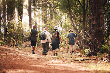 Image showing Hiking, fitness and group of friends on mountain for adventure, freedom and healthy lifestyle on forest trail. Travel, retirement and senior hikers walking for exercise, trekking and cardio wellness