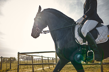 Image showing Equestrian, person on horse in countryside, riding and sport with healthy active lifestyle, nature and jockey on farm or ranch. Rider outdoor with animal, sports and fitness with competition