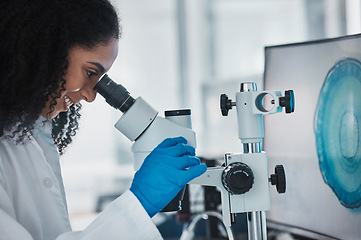 Image showing Scientist, black woman and microscope, research and science innovation, microbiology or biotechnology in lab. Happy, work and scientific study with researcher, doctor and test with data analysis