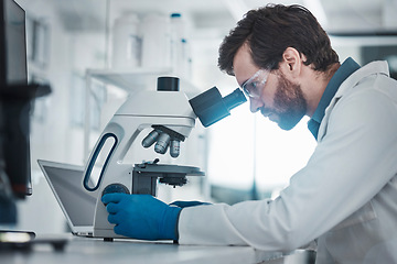 Image showing Medical, microscope and laboratory research of expert checking health sample for bacteria study. Chemistry lab, biotechnology and scientist working on chemical innovation and dna analytics