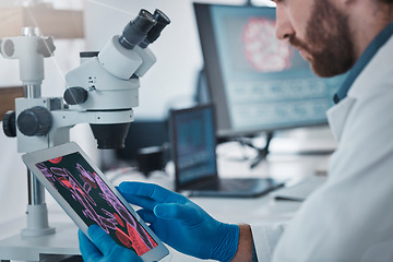 Image showing Science, dna and scientist with a tablet in lab doing research on rna, medical innovation or virus. Technology, healthcare and male scientific expert working on pharmaceutical vaccine in laboratory.