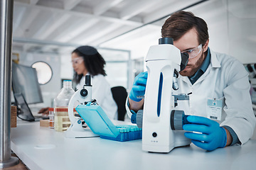 Image showing Man, doctor and forensic scientist with microscope for examination, experiment or test at laboratory. Male in science looking at micro organisms for exam, breakthrough or testing to find cure at lab