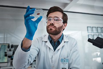 Image showing Science, blood and sample with a doctor man at work in a laboratory for analysis or research. Medical, innovation and dna with a male scientist working in a lab for development or breakthrough