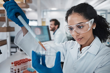Image showing Scientist, pipette or petri dish in laboratory research, medical pharmacy or dna blood engineering. Black woman, dropper or science equipment in healthcare analytics test or future vaccine innovation