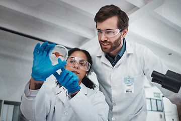 Image showing Science, analysis and scientists with a blood sample in a lab for research, dna test and healthcare. Medical, innovation and man and woman looking at a red chemical for analytics and experiment