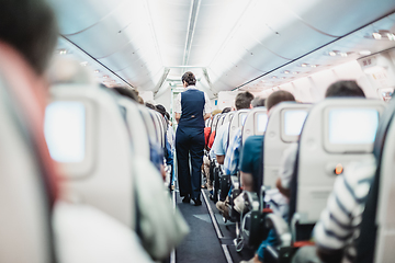 Image showing Stewardess on the airplane.