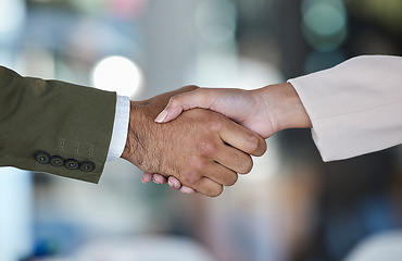 Image showing Handshake, partnership with business people and team, agreement with deal or onboarding, networking and hr. Hiring, job interview and collaboration, thank you and teamwork with shaking hands and b2b