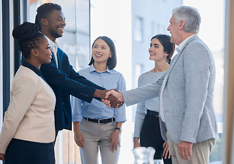 Image showing Hand shake, acquisition and business people happy for investment deal, b2b contract or negotiation agreement. Diversity human resources, hiring welcome or administration job interview with HR manager