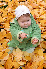 Image showing baby at a park 