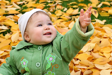 Image showing baby at a park