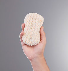 Image showing Shower, grooming and hands with a loofah for hygiene isolated on a grey studio background. Skincare, health and person holding a bathing sponge for washing, cleaning and treatment on a backdrop