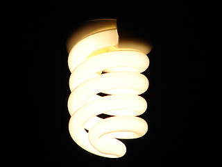 Image showing bulb