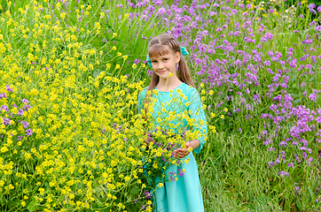 Image showing Portrait of a ten year old girl in wildflowers