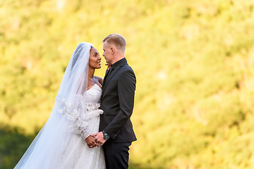 Image showing Close-up portrait of newlyweds against brightly lit foliage