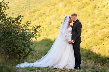 Image showing Full-length portrait of the newlyweds against the backdrop of brightly lit foliage, the newlyweds look lovingly at each other