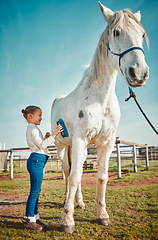 Image showing .Girl child, brush horse and outdoor with care, love and holiday at farm, countryside or zoo in summer. Young kid, pet and animal with kindness, friendly and freedom for grooming in morning sunshine.