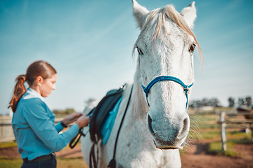 Image showing Freedom, race and horse with girl on countryside for riding, equestrian and affectionate. Pet, pasture and champion stallion with child jockey and animal on nature ranch for relax, travel or weekend