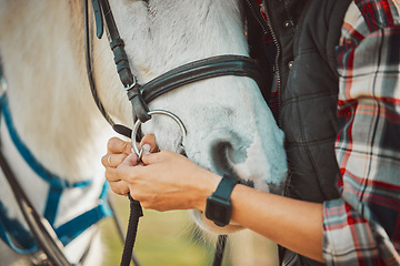 Image showing Horse, riding and equestrian with person and saddle up animal outdoor, ranch in countryside and sports. Luxury, hands and pet closeup, fitness and nature, rider or jockey for training for competition