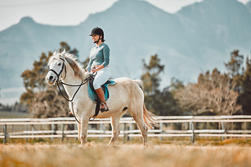 Image showing Horse riding, woman equestrian and countryside with mockup and person ready for farm training. Countryside, pet horses and outdoor sport with ranch animal in nature with mock up, mountains and grass