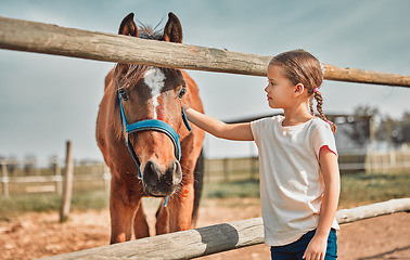 Image showing .Girl child, touch horse and outdoor with care, love and holiday at farm, countryside or zoo in summer. Young kid, pet and animal with kindness, friendly and freedom for learning in morning sunshine.