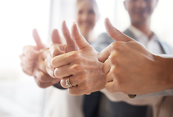 Image showing Thumbs up, collaboration and business people in the office with success, achievement or goal. Diversity, teamwork and group of employees with an agreement, ok or yes hand gesture in the workplace.