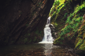 Image showing Estyube Waterfall at Lake Teletskoye