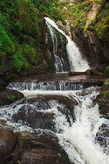 Image showing Choodor Waterfall at Lake Teletskoye