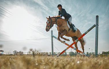 Image showing Training, jump and woman on a horse for a course, event or show on a field in Norway. Equestrian, jumping and girl doing a horseback riding obstacle during a jockey race, hobby or sport in nature