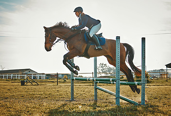 Image showing Training, jump and woman on a horse for sports, an event or show on a field in Norway. Equestrian, action and girl doing a horseback riding course during a jockey race, hobby or sport in nature