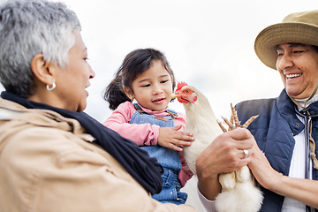 Image showing Farm, agriculture and grandparents with girl and chicken in countryside for farming, livestock and agro. Sustainability, family and child with bird for protein, animal produce and eco friendly ranch