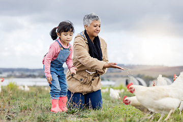 Image showing Family, agriculture and chicken, grandmother and child on farm in Mexico, feeding livestock with poultry and farming. Senior woman, girl and farmer on field in countryside, nutrition and sustainable