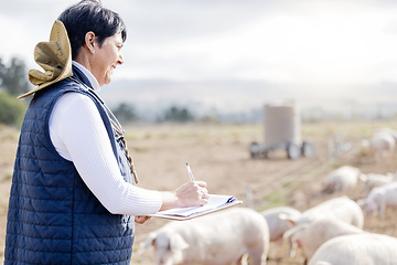 Image showing Farmer, pig or senior woman with checklist for animal wellness inspection on clipboard. Agriculture, healthcare or mature person working in countryside farming bacon meat livestock in pork production
