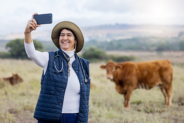 Image showing Cow selfie, vet and countryside cows with a animal healthcare worker on a field. Happiness, mobile and social media streaming of a mature farmer on the grass with cattle for milk production outdoor