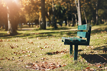 Image showing Park, bench and open with space with trees, mock up and summer for sunshine, relax and rest in nature. Forest, woods and grass outdoor with leaves, blurred background and natural landscape for peace