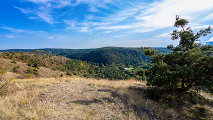 Image showing National Nature Reserve Mohelen Snake Steppe, Czech Republic