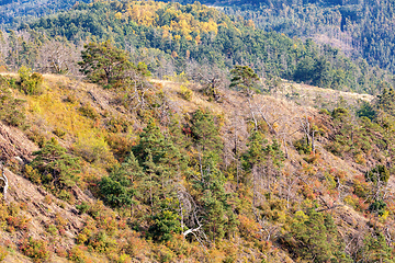 Image showing National Nature Reserve Mohelen Snake Steppe, Czech Republic