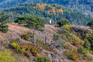 Image showing National Nature Reserve Mohelen Snake Steppe, Czech Republic