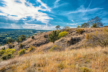 Image showing National Nature Reserve Mohelen Snake Steppe, Czech Republic