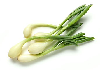 Image showing fresh green onions