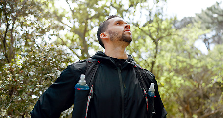 Image showing Hiking, fitness and forest man with focus, motivation and thinking of healthy lifestyle goal in nature trees. Green woods and sport, exercise person with athlete gear and training challenge idea