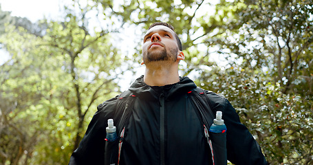 Image showing Hiking, fitness and forest man with focus, motivation and thinking of healthy lifestyle goal in nature trees. Green woods and sport, exercise person with athlete gear and training challenge idea