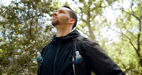 Image showing Hiking, fitness and forest man with focus, motivation and thinking of healthy lifestyle goal in nature trees. Green woods and sport, exercise person with athlete gear and training challenge idea