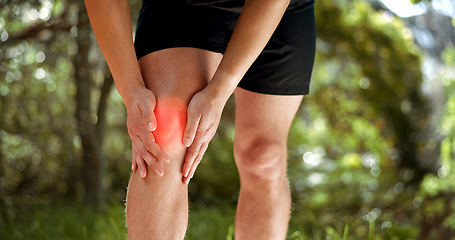 Image showing Knee pain, legs and park runner man, athlete and training, workout and exercise on outdoor nature trail. Closeup fitness body, inflammation problem and muscle injury, health risk and running sports
