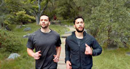 Image showing Running, fitness and people in nature forest for training, outdoor wellness or challenge with focus, motivation and energy. Sports men friends, personal trainer athlete exercise together in mountain