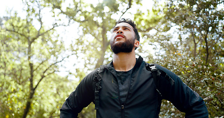 Image showing Man, thinking and hiking in nature forest, Brazilian amazon woods or sustainability environment for workout, training and exercise. Confused hiker, lost person or backpacker in countryside adventure