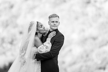 Image showing Happy newlyweds against the backdrop of sunny evening foliage, the guy looks into the distance, the girl looks at the guy