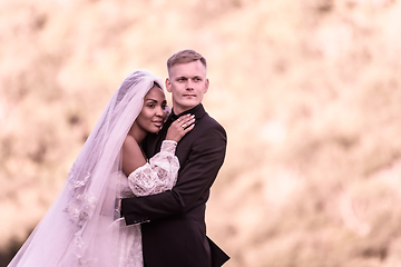 Image showing Happy newlyweds against the backdrop of evening sunny foliage