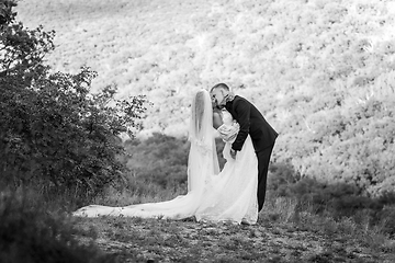 Image showing Full-length portrait of the newlyweds against the backdrop of brightly lit foliage, the newlyweds passionately embrace, black and white version